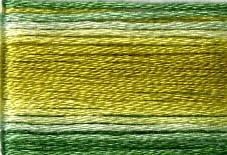 Seasons Variegated Embroidery Floss (8000 series) By Cosmo Lecien Corporation | Red Thread Studio