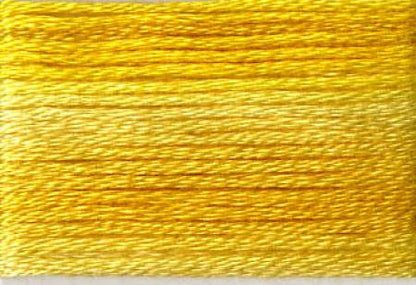 Seasons Variegated Embroidery Floss (8000 series) By Cosmo Lecien Corporation | Red Thread Studio