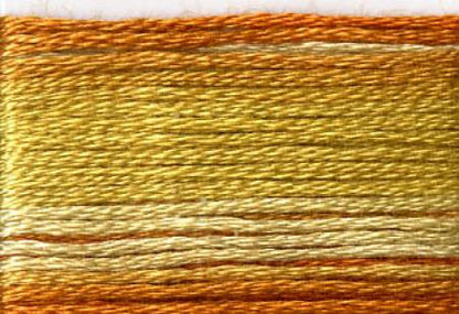 Seasons Variegated Embroidery Floss (8000 series) By Cosmo Lecien Corporation | Red Thread Studio