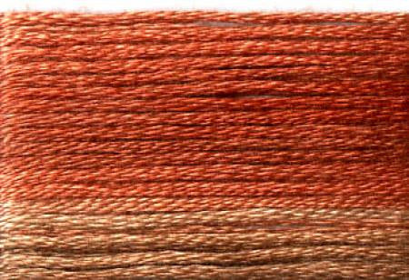 Seasons Variegated Embroidery Floss (8000 series) By Cosmo Lecien Corporation | Red Thread Studio