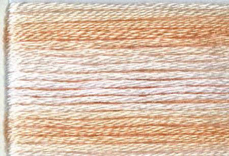 Seasons Variegated Embroidery Floss (8000 series) By Cosmo Lecien Corporation | Red Thread Studio
