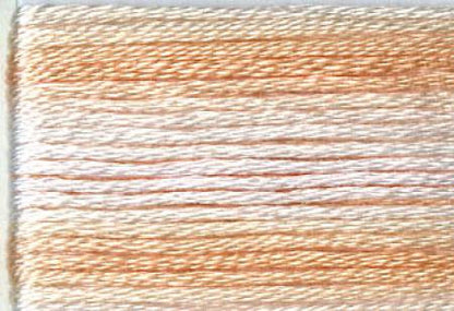 Seasons Variegated Embroidery Floss (8000 series) By Cosmo Lecien Corporation | Red Thread Studio