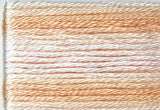 Seasons Variegated Embroidery Floss (8000 series) By Cosmo Lecien Corporation | Red Thread Studio
