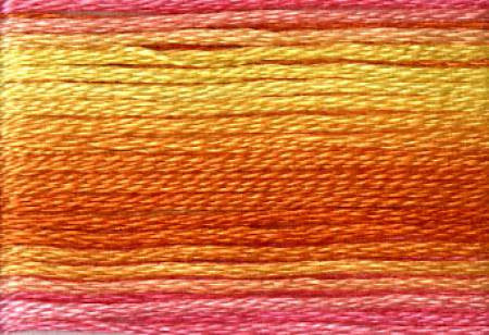Seasons Variegated Embroidery Floss (8000 series) By Cosmo Lecien Corporation | Red Thread Studio