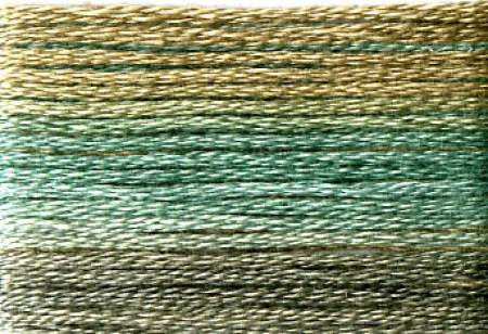 Seasons Variegated Embroidery Floss (8000 series) By Cosmo Lecien Corporation | Red Thread Studio