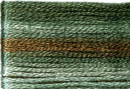 Seasons Variegated Embroidery Floss (8000 series) By Cosmo Lecien Corporation | Red Thread Studio