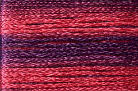 Seasons Variegated Embroidery Floss (8000 series) By Cosmo Lecien Corporation | Red Thread Studio
