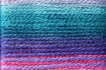 Seasons Variegated Embroidery Floss (8000 series) By Cosmo Lecien Corporation | Red Thread Studio