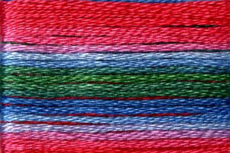 Seasons Variegated Embroidery Floss (8000 series) By Cosmo Lecien Corporation | Red Thread Studio