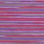 Seasons Variegated Embroidery Floss (5000 series) By Cosmo Lecien Corporation | Red Thread Studio